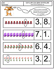 sıra kavramına örnek çalışmalar